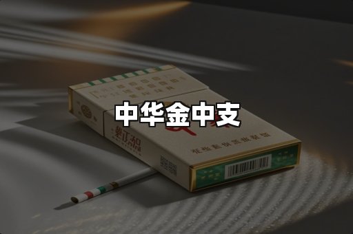 中华金中支